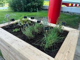 2023.08.28 | Kids Camp bei Würth: Buntes Ferienprogramm für Kinder-