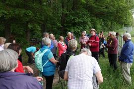 2019.05.15 | 5. Bürgermeisterwanderung nach Schloß Totzenbach-