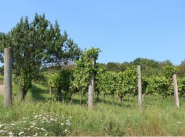 Über drei Berge zu Blumen und Wein-