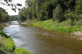 Ein Fischlein steht im kühlen Grund-