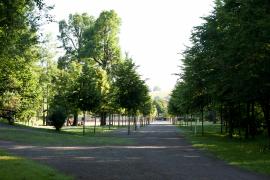 Park im Zentrum-